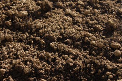 Image of Compost